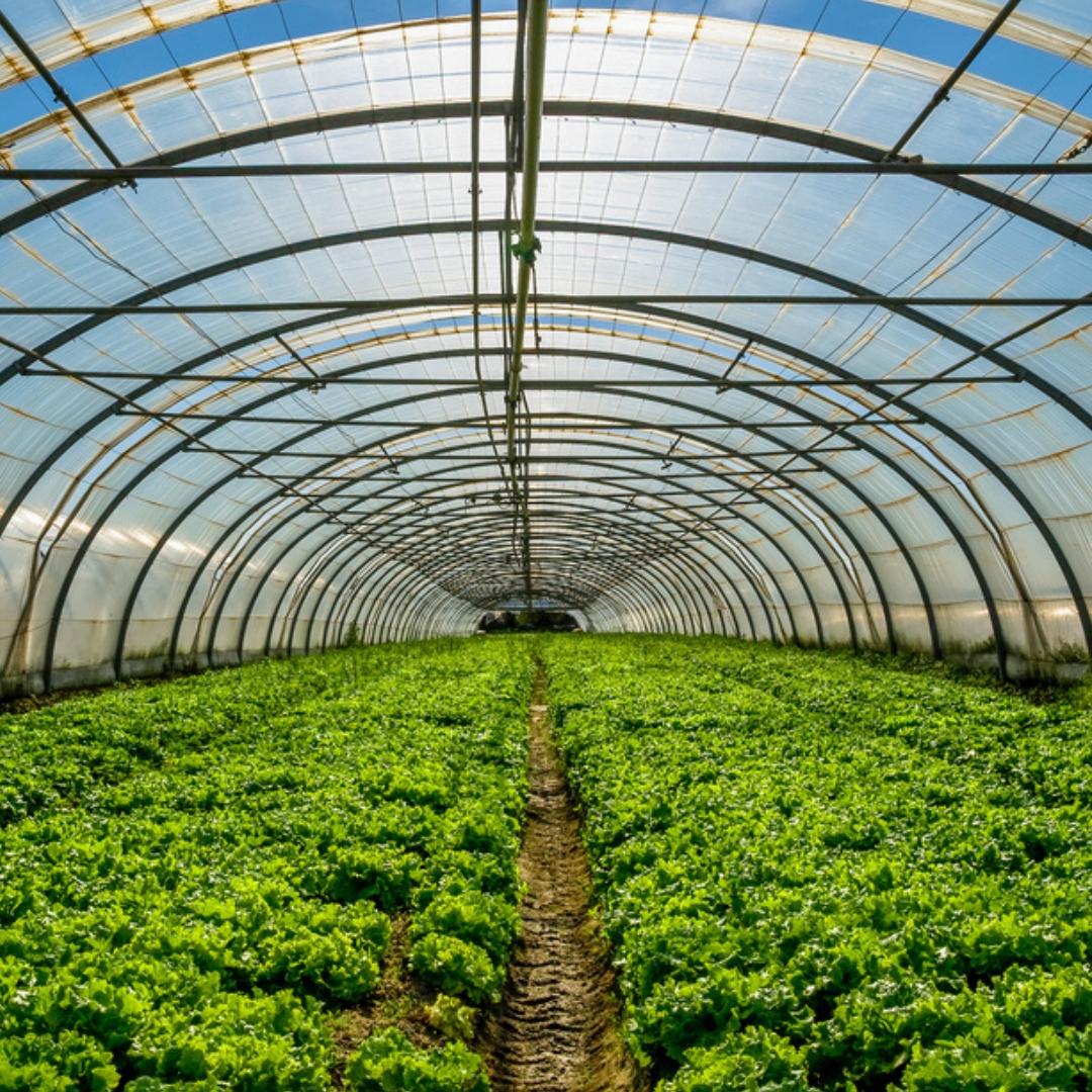 The Crescive Method Advanced Training Masterclass