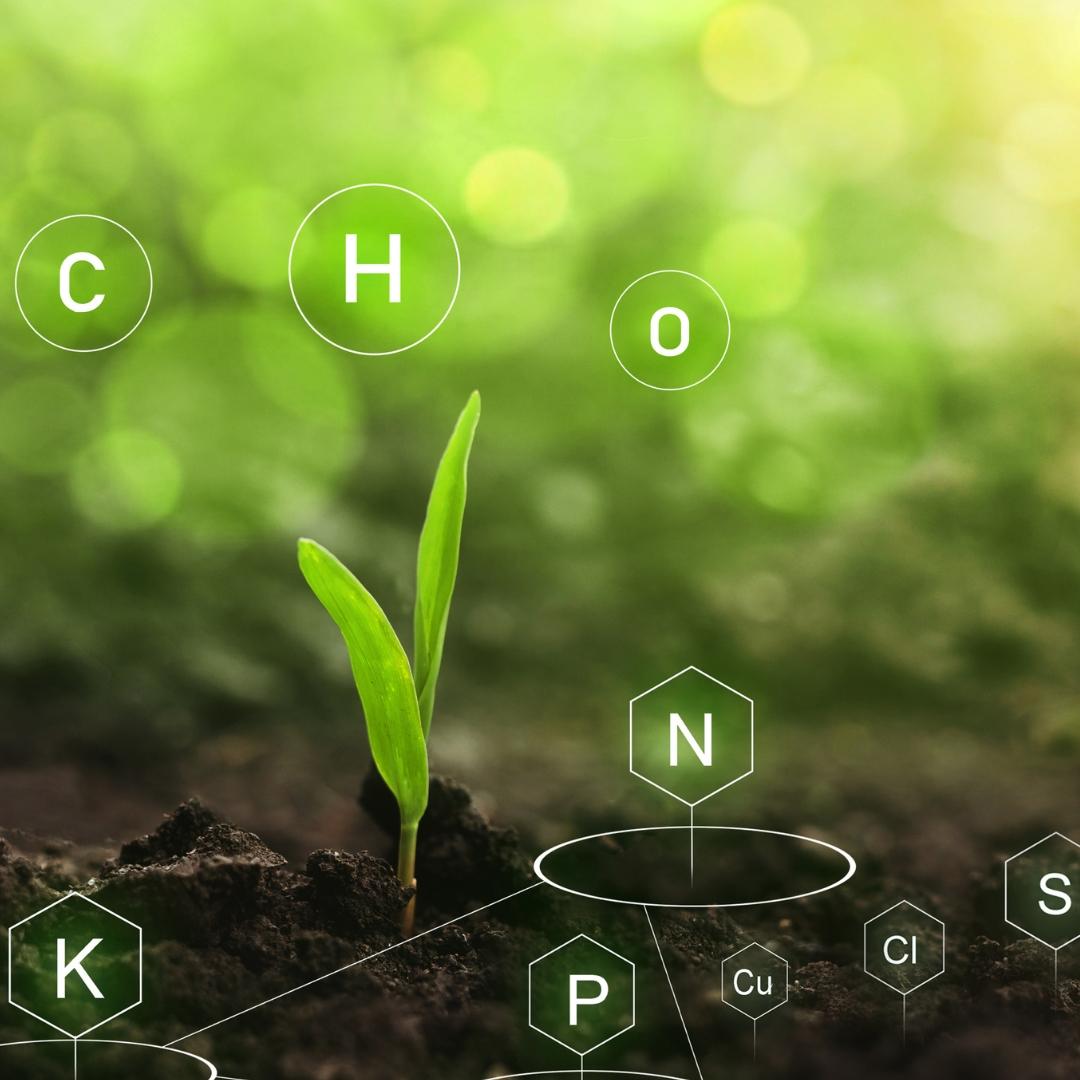 Soil Balancing for Living Soil
