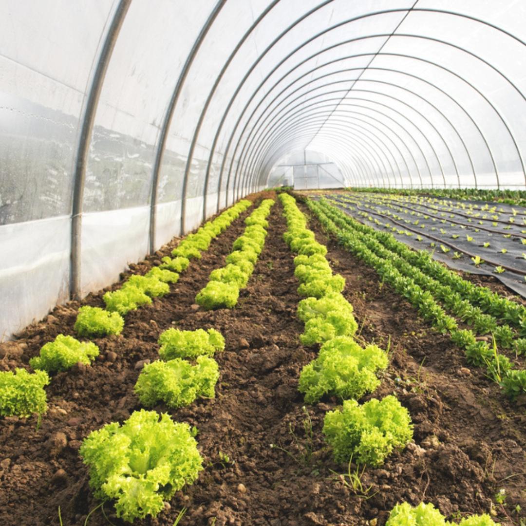 Complete Masterclass Bundle