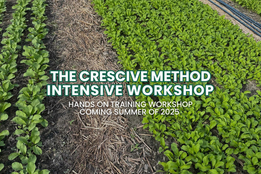 The Crescive Method Intensive Workshop